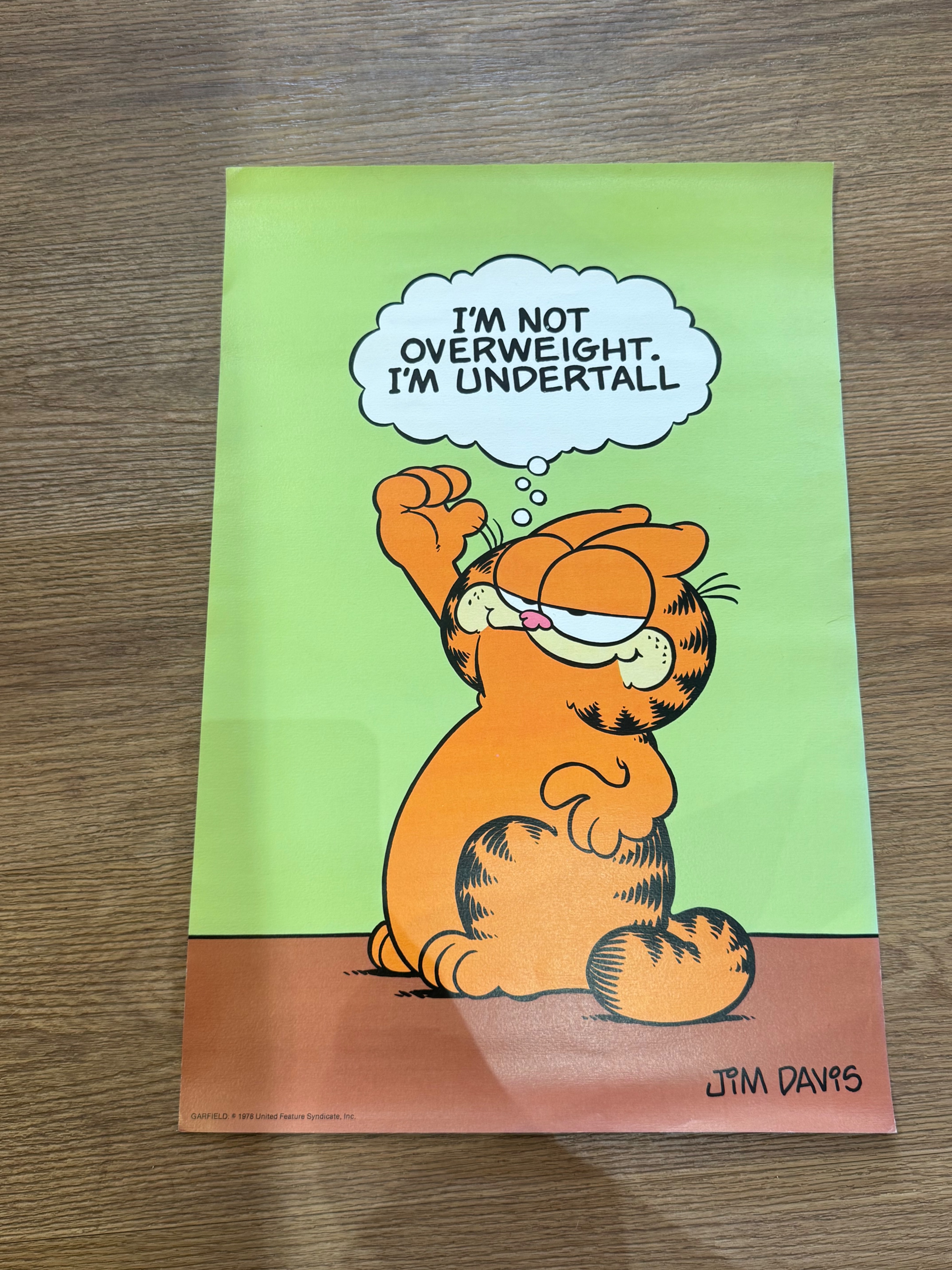 ✷1978年加菲貓海報 款式如圖