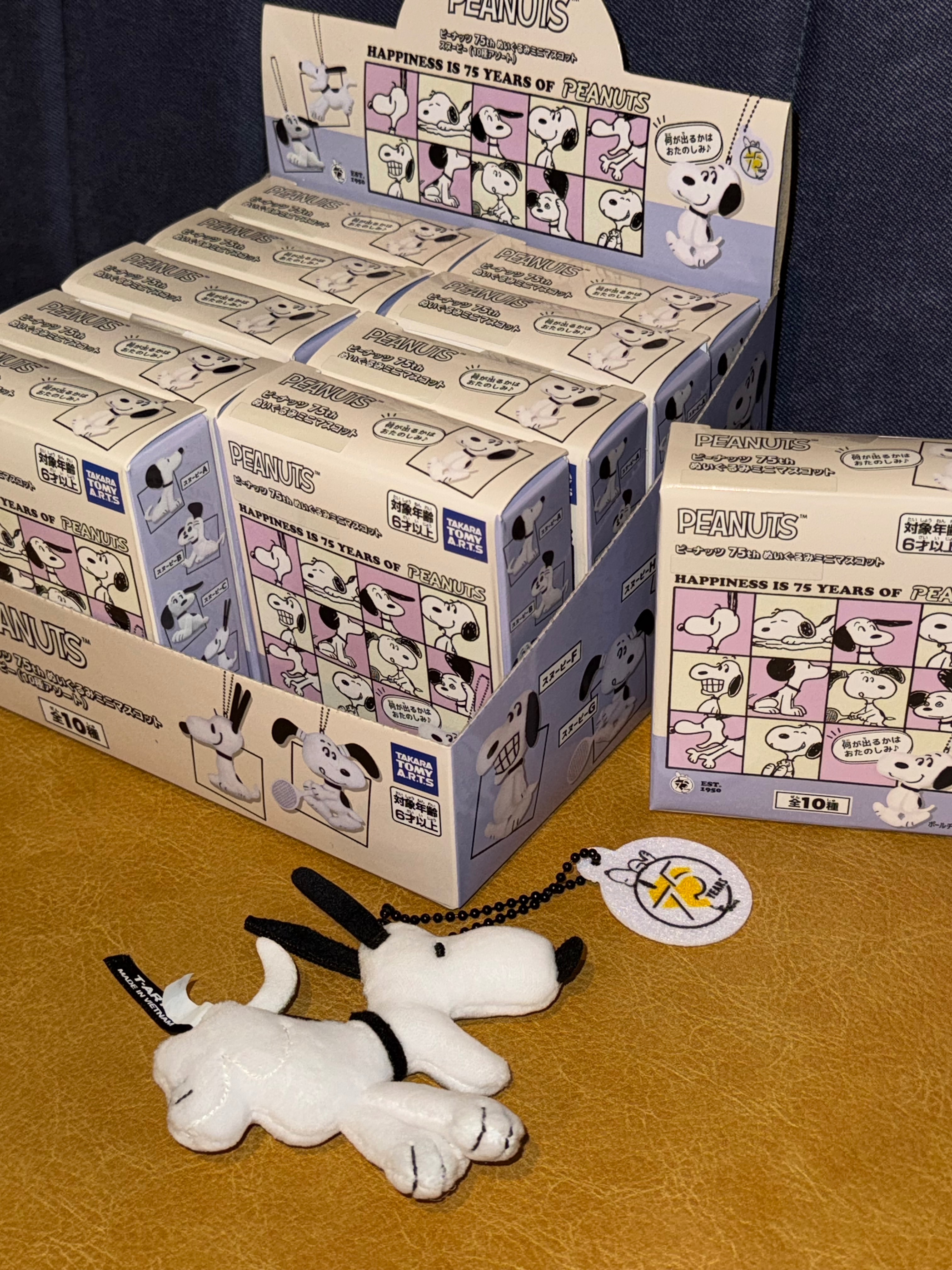 Snoopy 75週年盲盒 照片的吊飾是展示品