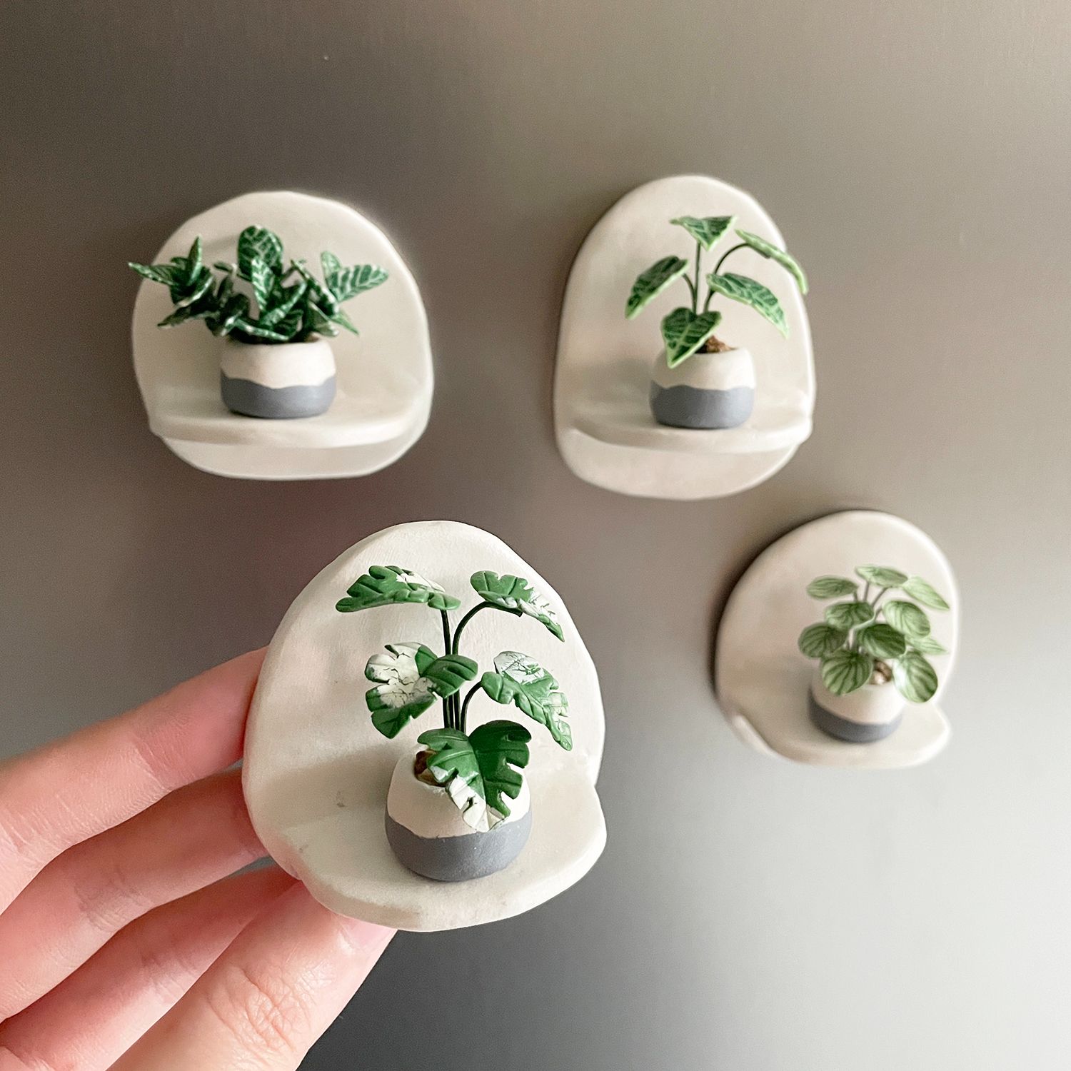 【接單後製作】迷你觀葉植物植牆景磁鐵禮盒 共4款。軟陶黏土迷你觀葉植物