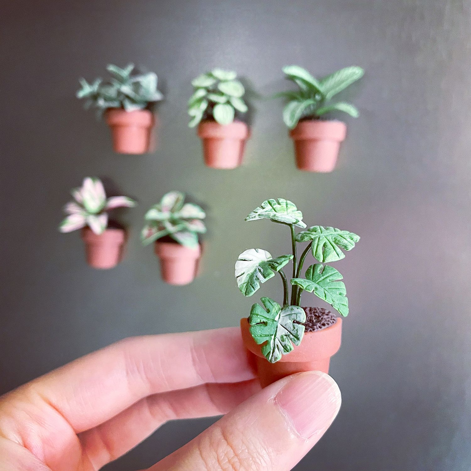 【接單後製作】迷你觀葉植物盆栽磁鐵_共6款。軟陶黏土迷你觀葉植物