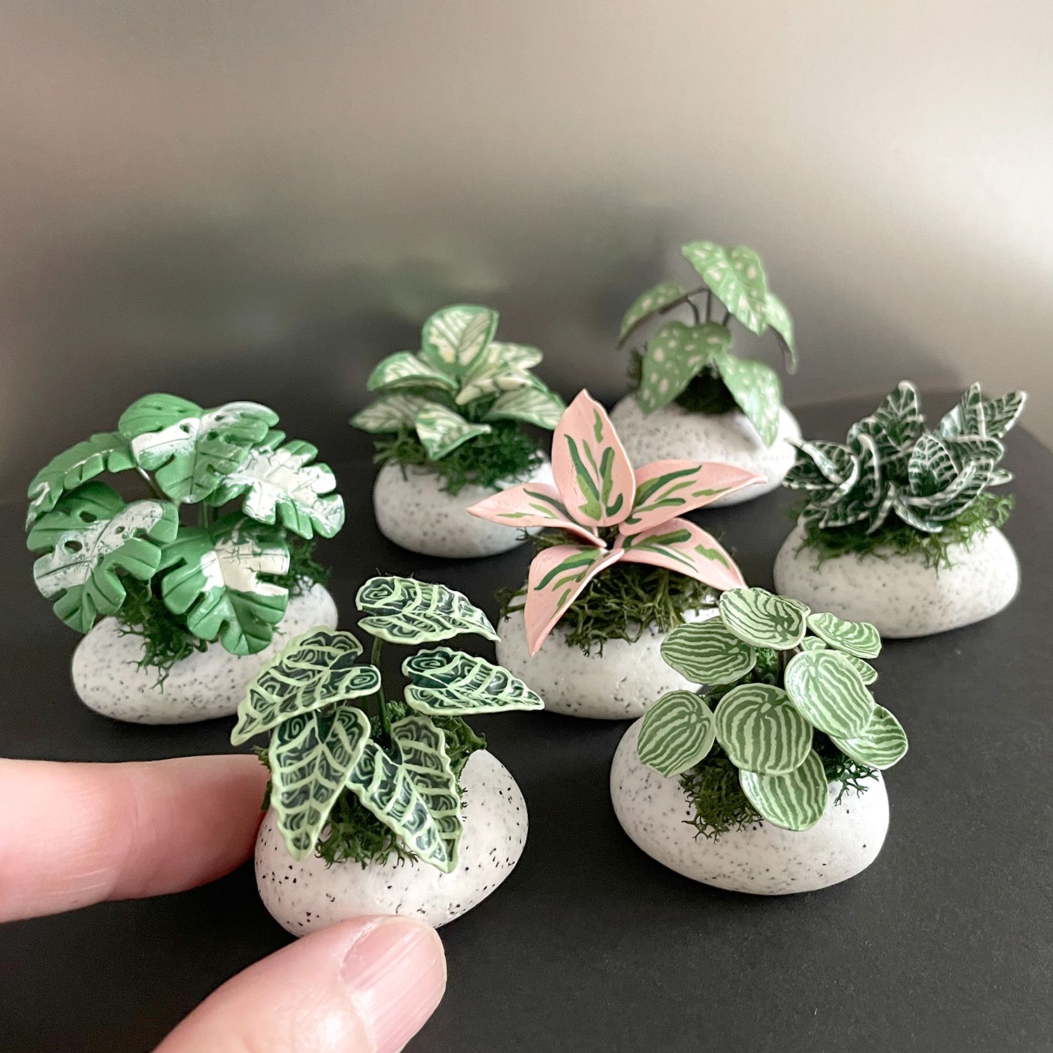 【現貨】迷你觀葉植物 小石頭。軟陶黏土迷你觀葉植物