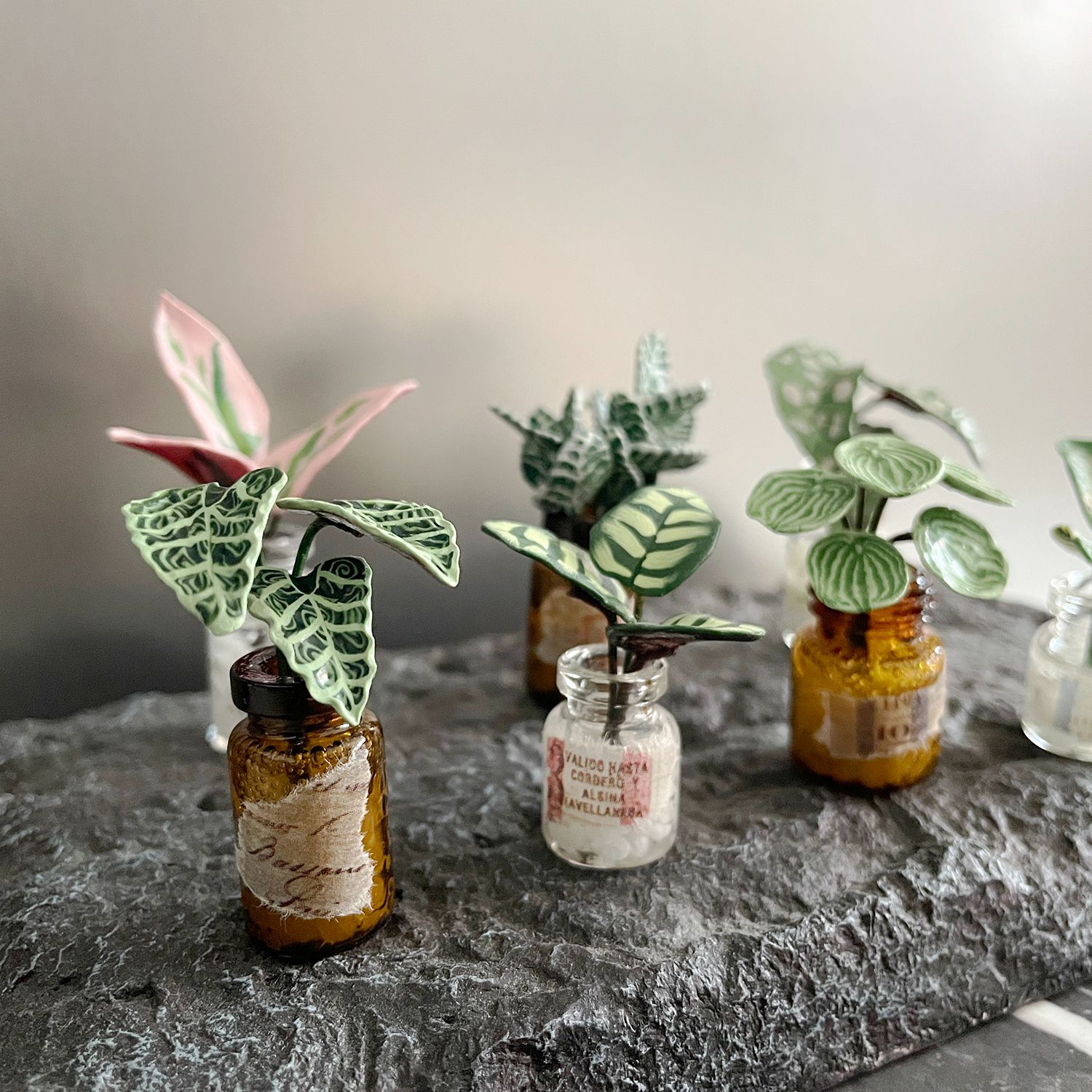 【現貨】玻璃瓶。軟陶黏土迷你觀葉植物