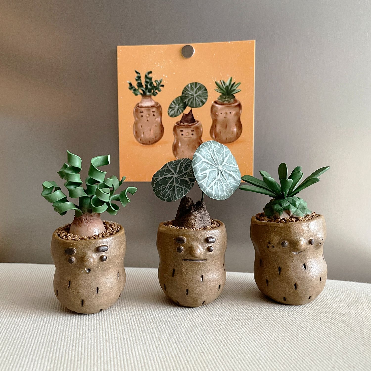 【現貨】Pin Ceramics X Una Sofa Handmade 聯名款。花生理髮廳-迷你塊根植物系列