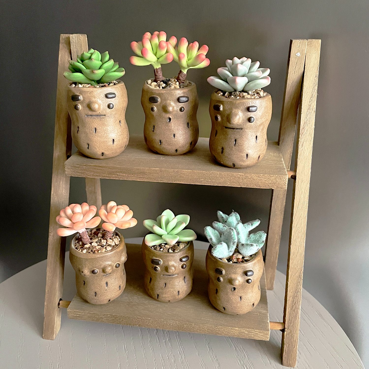 【現貨】Pin Ceramics X Una Sofa Handmade 聯名款。花生理髮廳-多肉植物系列