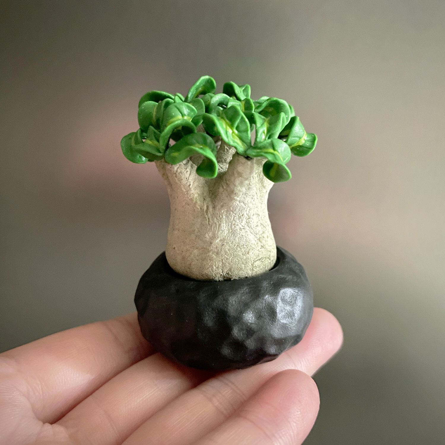 【現貨】磁植系列 羊角沙玫。軟陶黏土迷你塊根植物