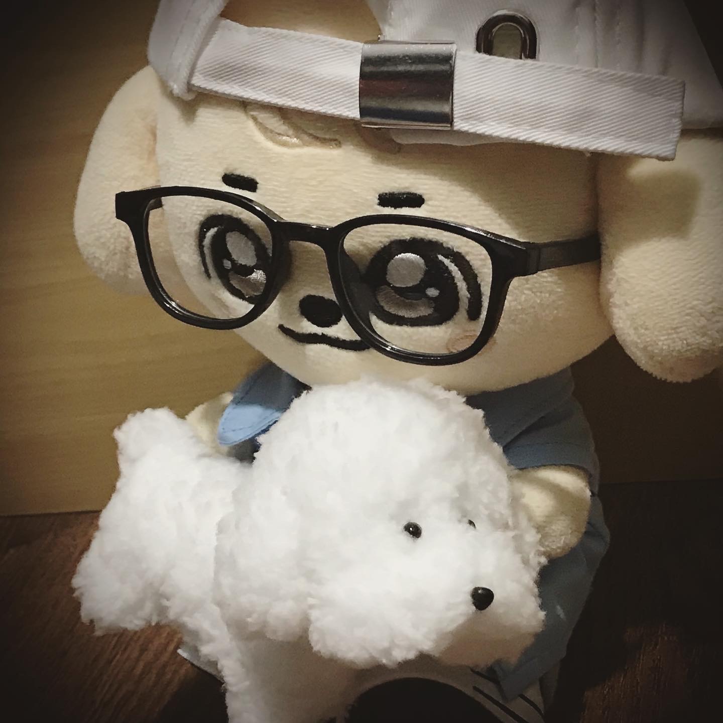 「做」安兪真的狗 azzo 比熊犬 扭扭棒材料包 只賣材料包 不含成品及GANGANJI