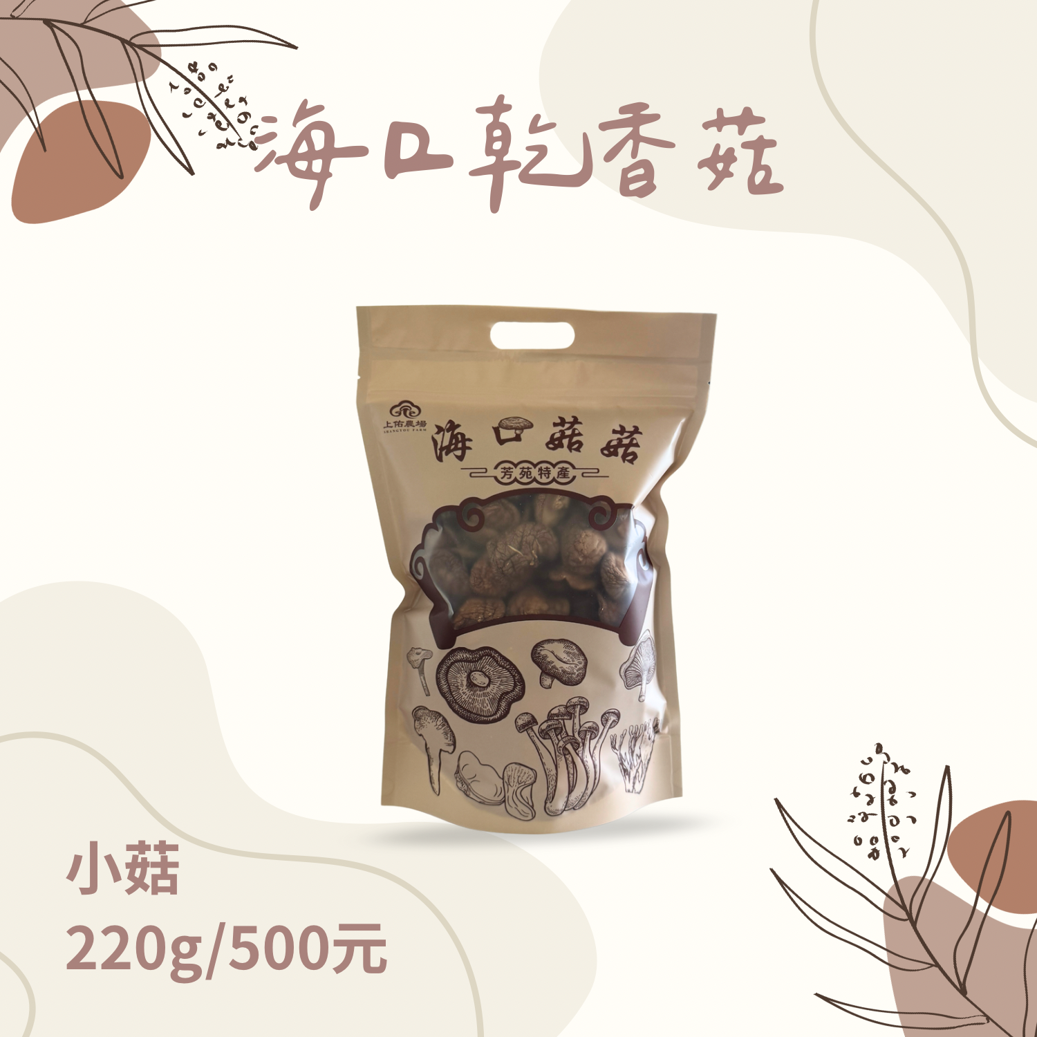 海口第一家香菇！超Q「乾香菇」🍄