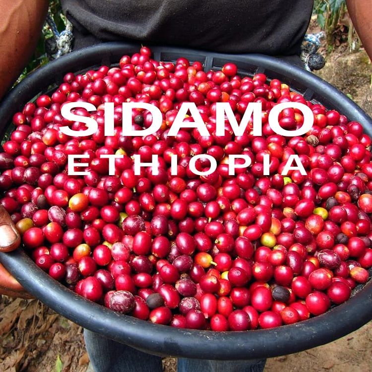 衣索比亞 西達摩 日晒  ETHIOPIA SIDAMO NATURAL