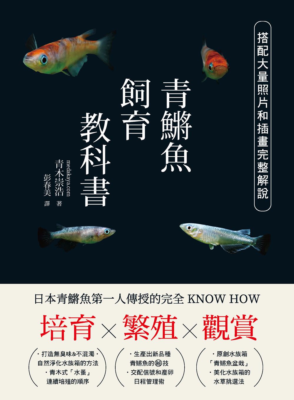 青鱂魚飼育教科書 Y201026 定價680元