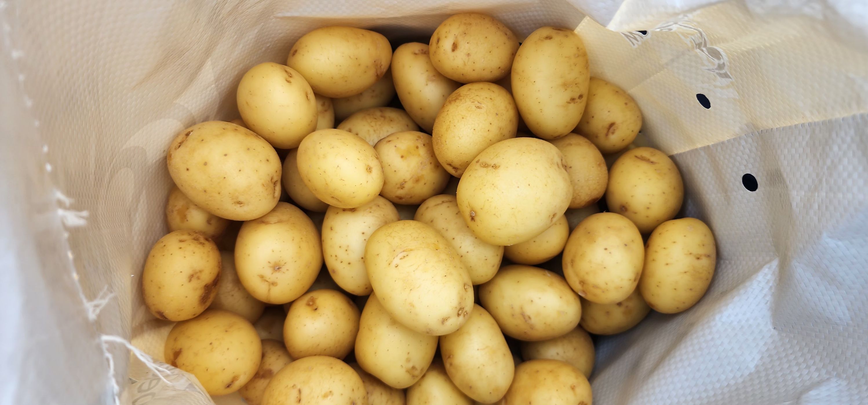 澳洲紅白皮馬鈴薯🥔 - 全家烤馬鈴薯 好市多 🚨711天氣熱不開放下單