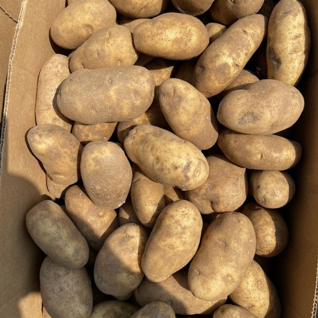 美國褐皮馬鈴薯🥔 - 好市多 美國馬鈴薯 夜市 男爵馬鈴薯 脆薯