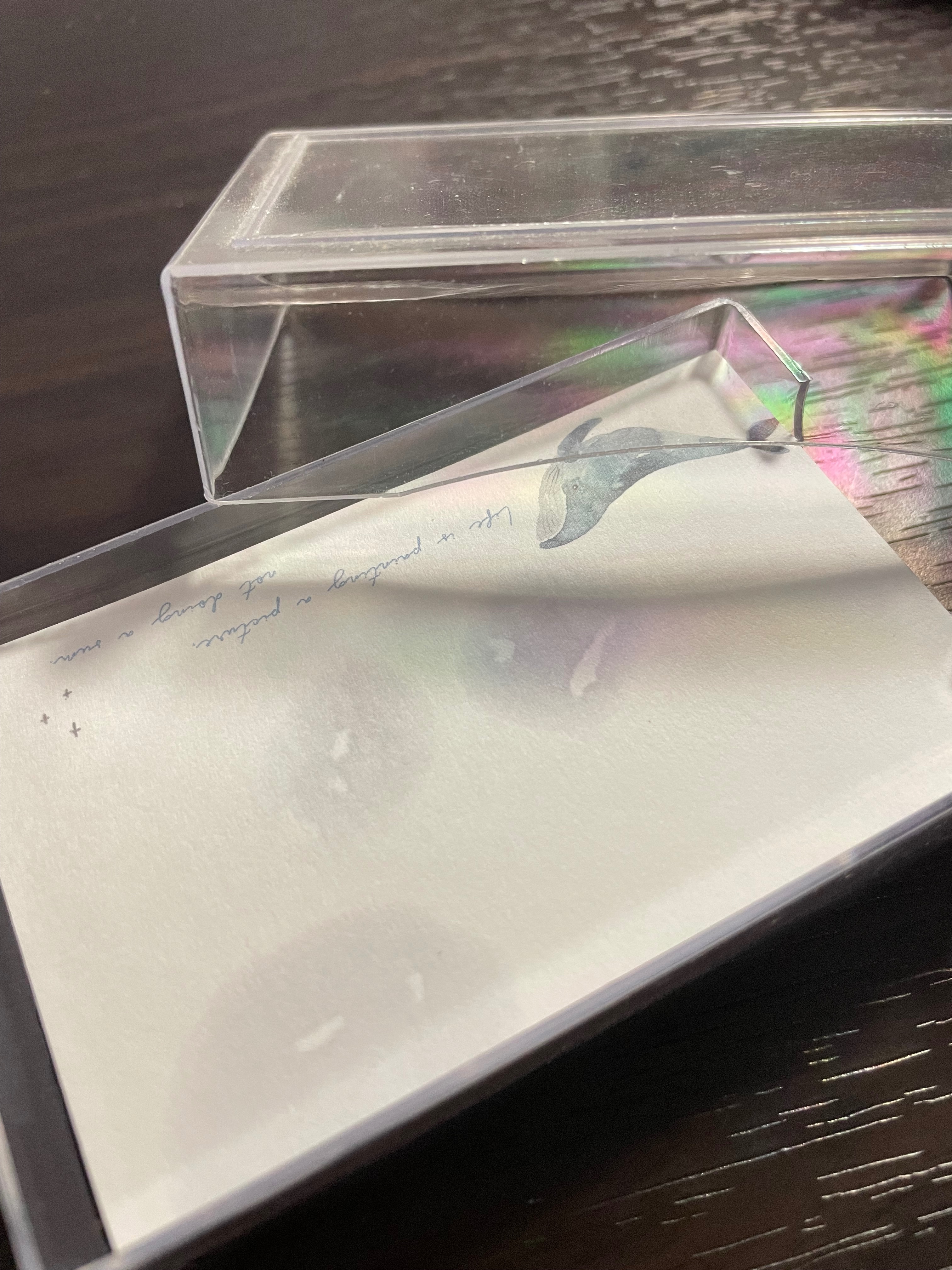 二手文具！ 小卡片/Pentel橡皮擦/訂書機