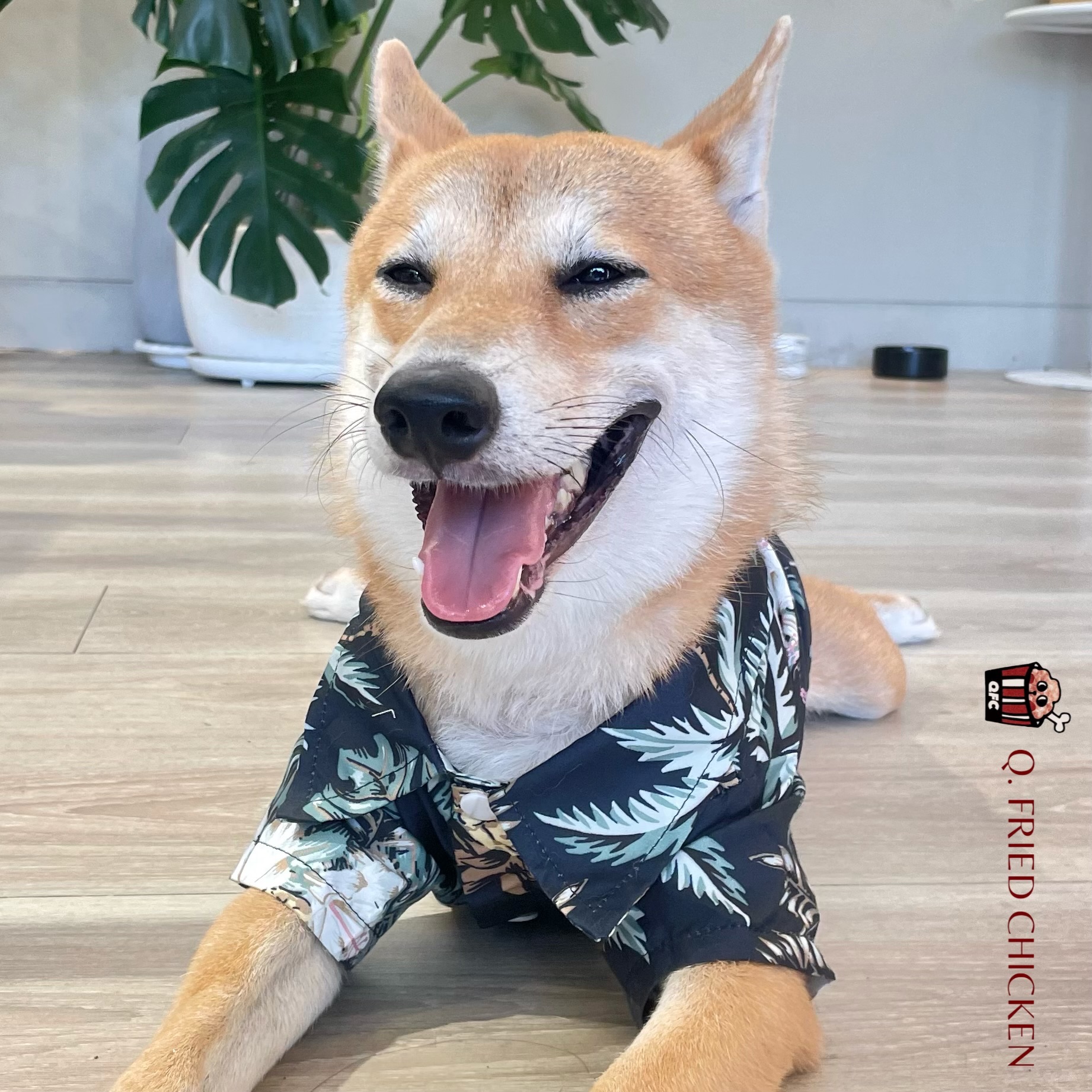 夏日必備花襯衫🌴