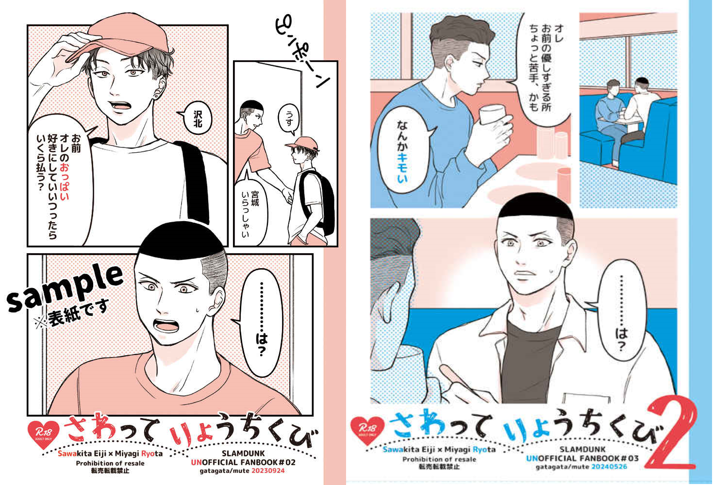 澤良日文二手同人誌