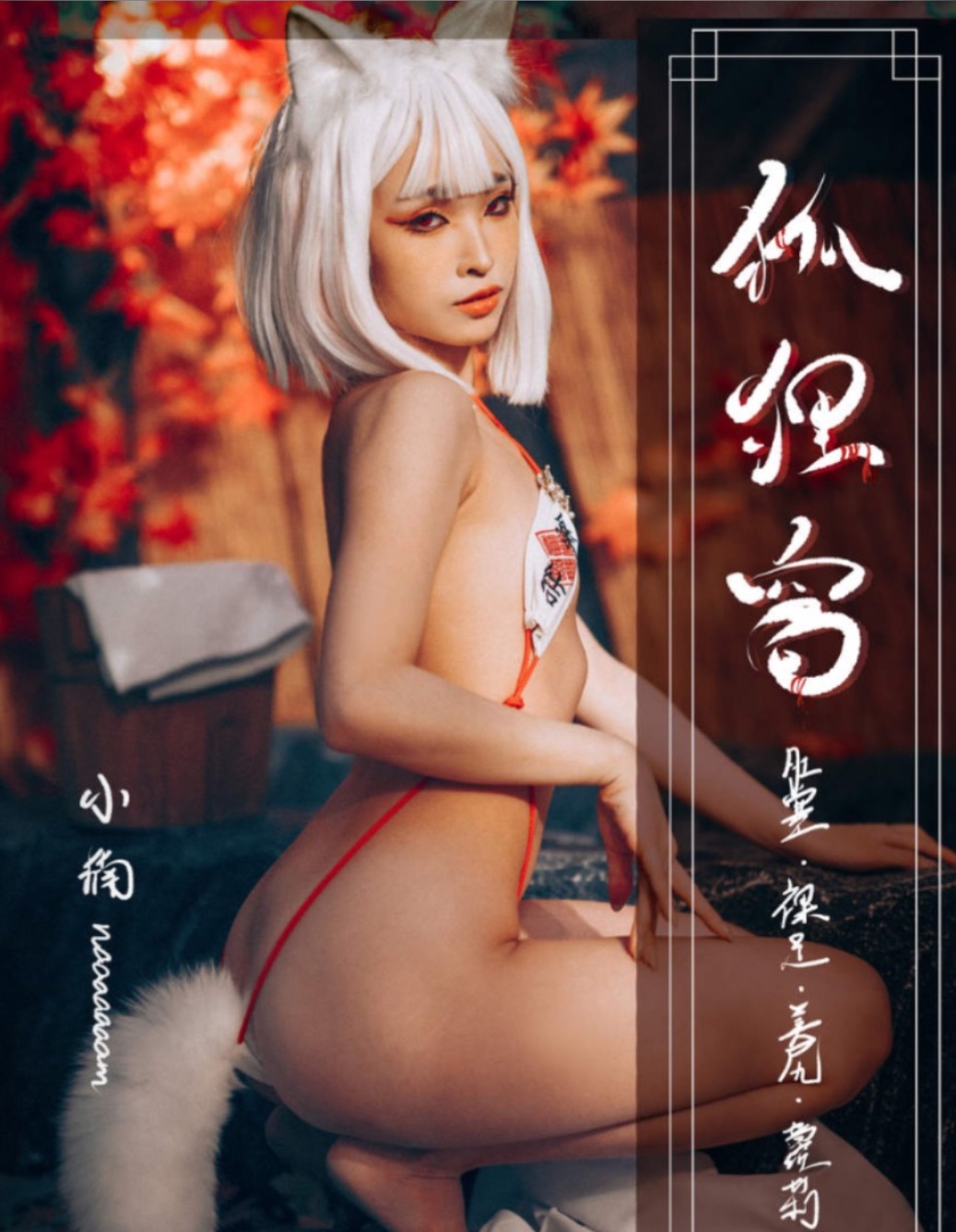狐狸窩 寫真本