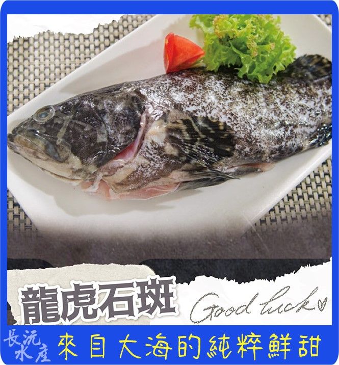 龍虎石斑 全魚