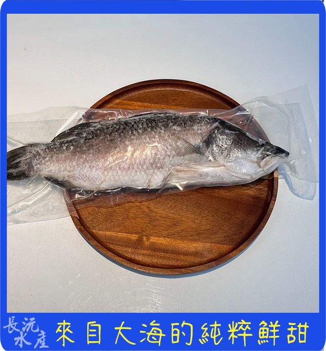 金目鱸魚全魚