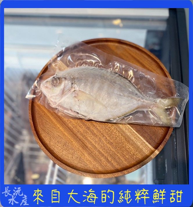 野生甘仔魚