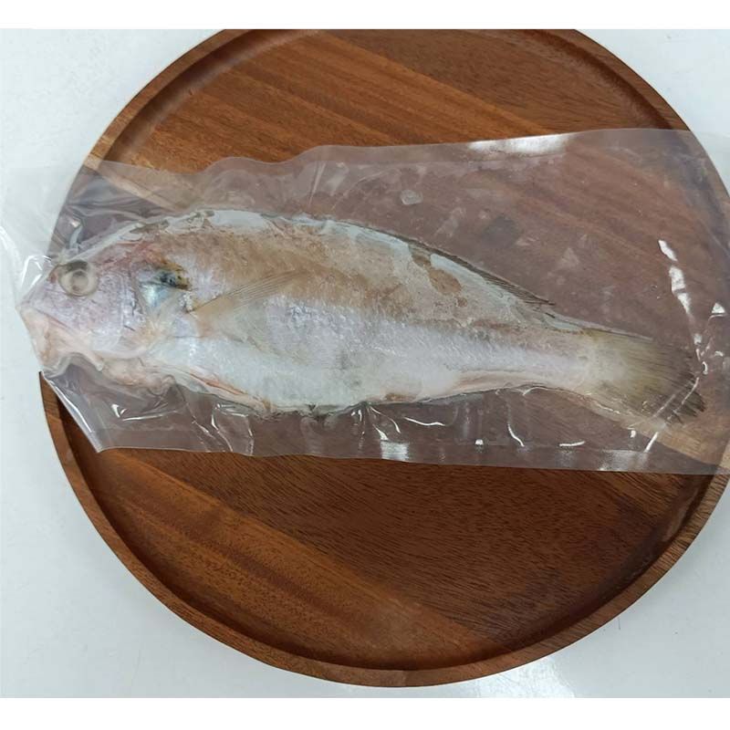 南方澳野生帕頭魚