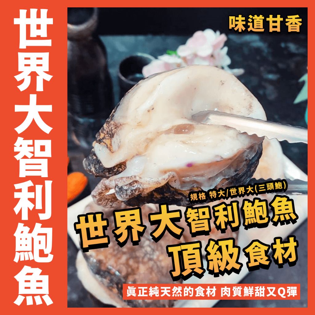 智利野生大鮑魚