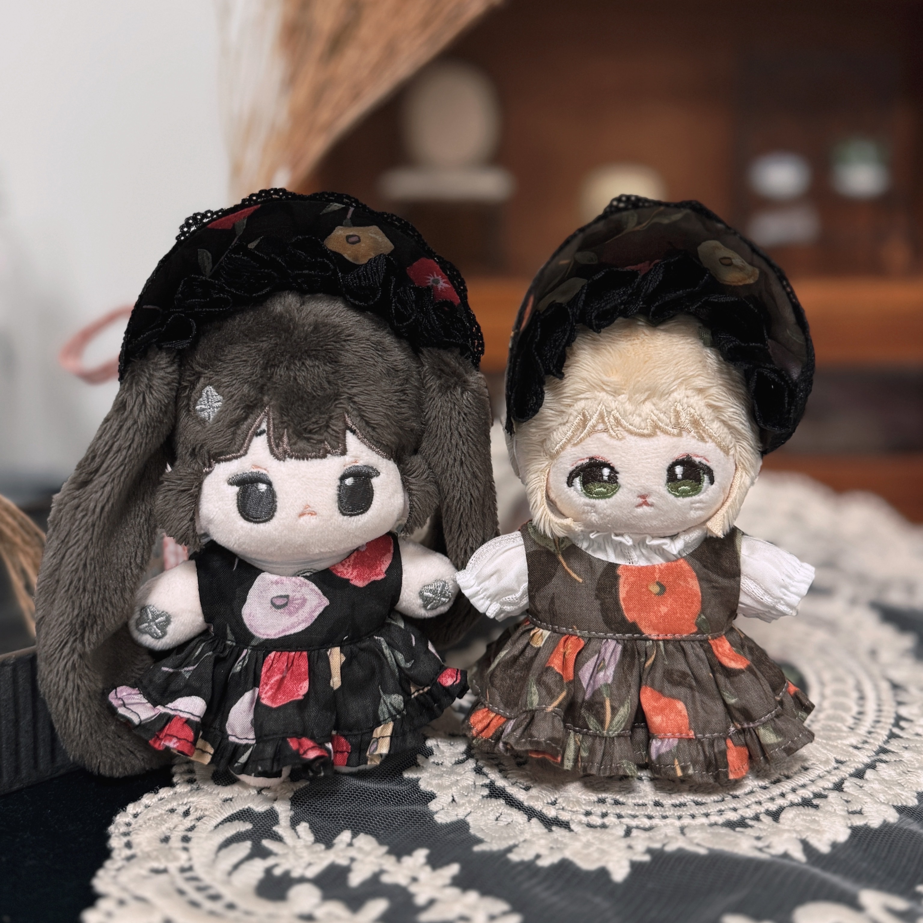 冰島罌粟｜10cm｜現貨