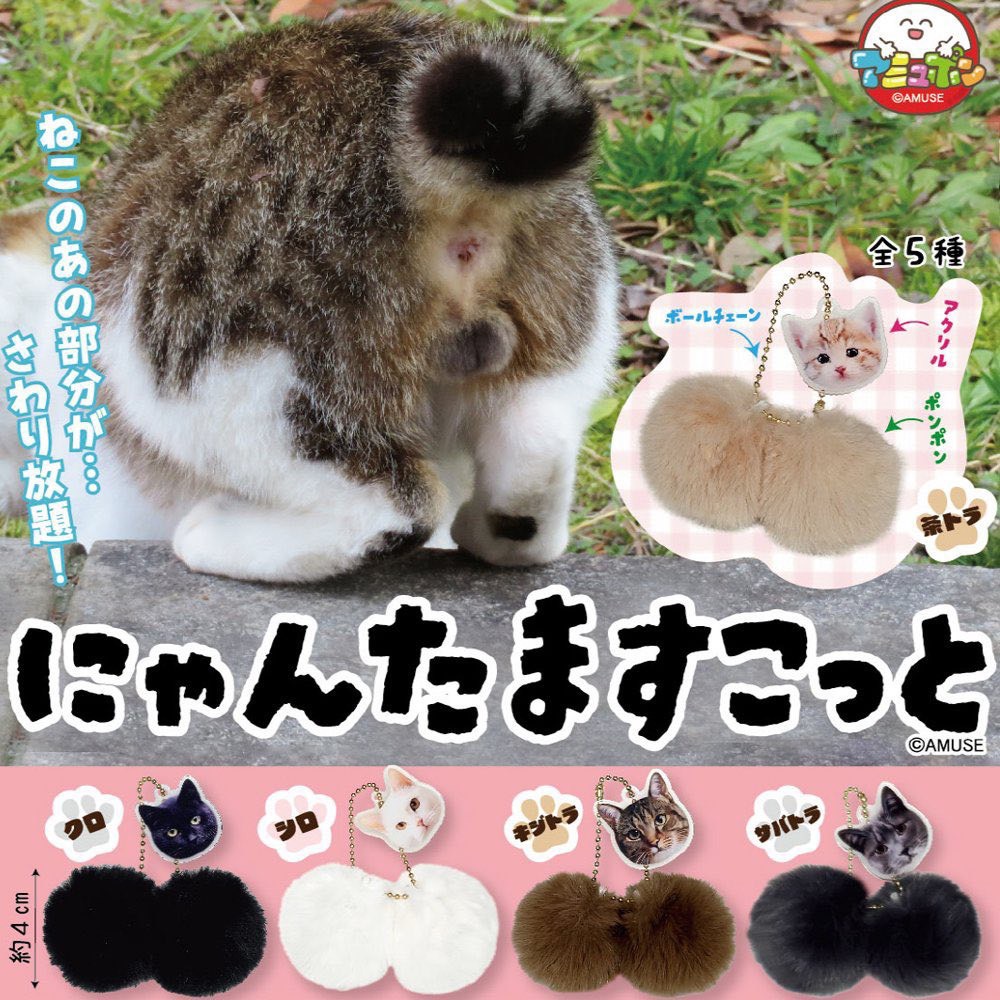 Amuse 貓の蛋蛋吊飾（全套5款）