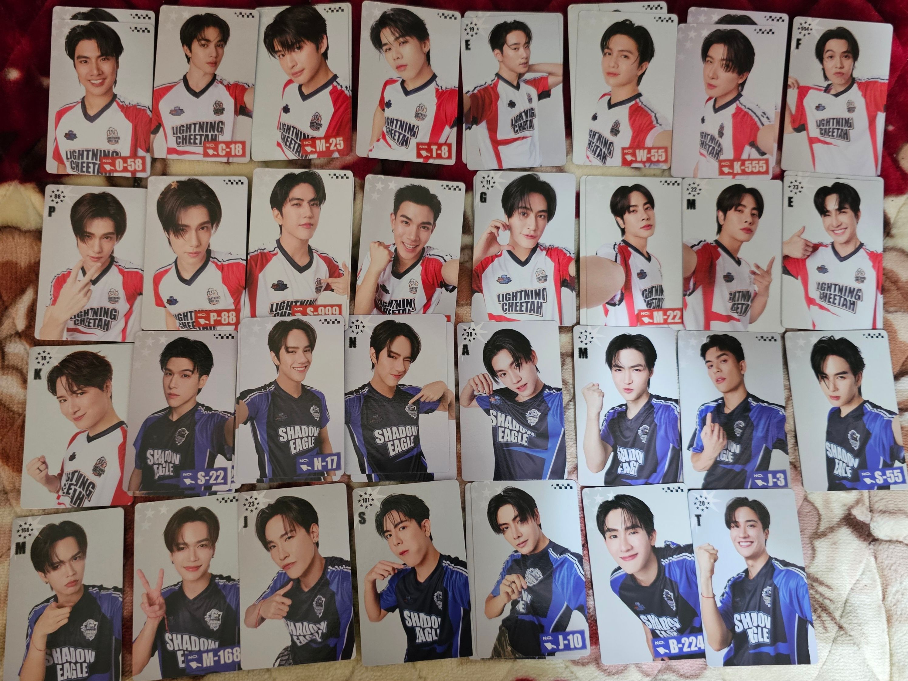 2025 運動會隨機卡、（A）區需綁其他非（A）區卡