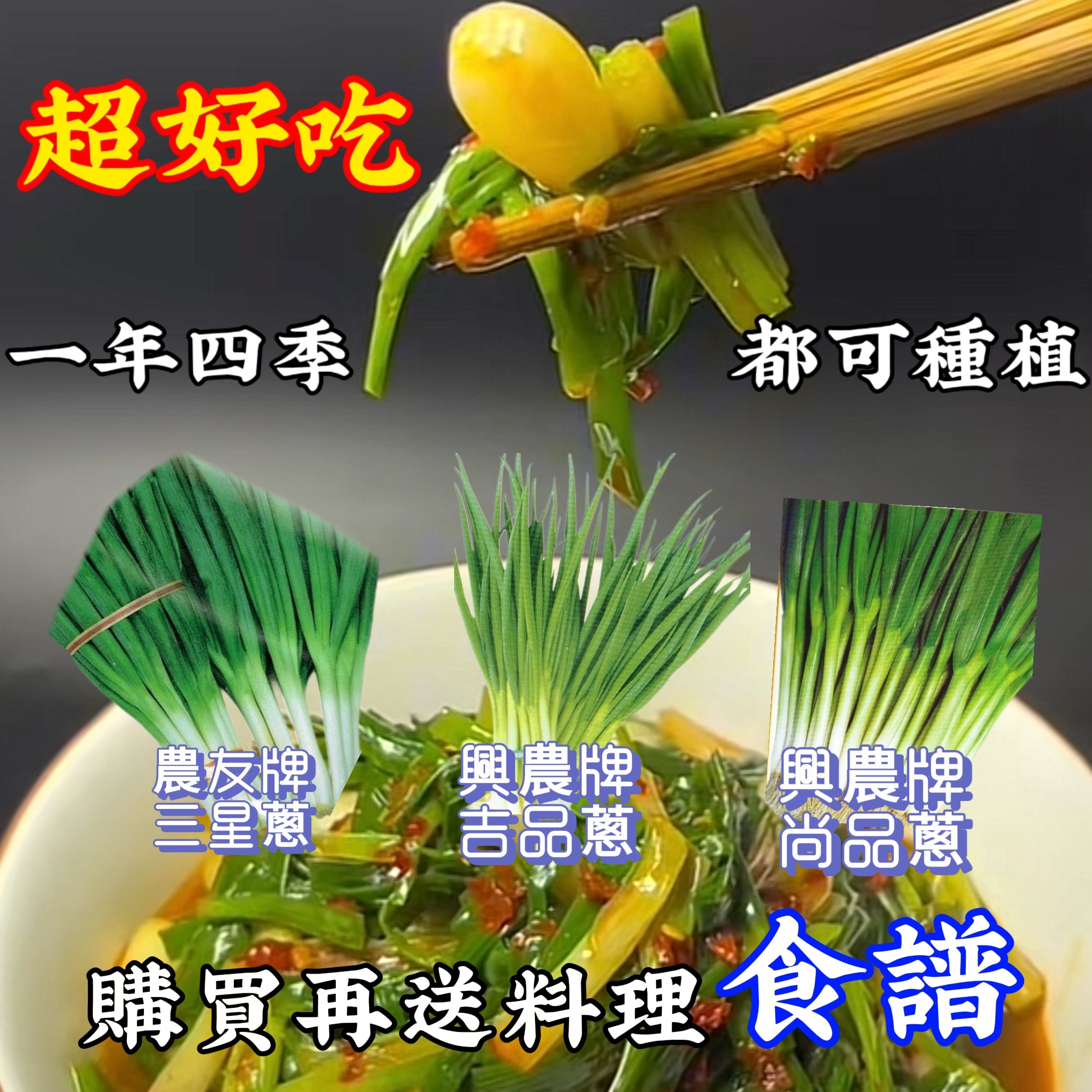 三星蔥
