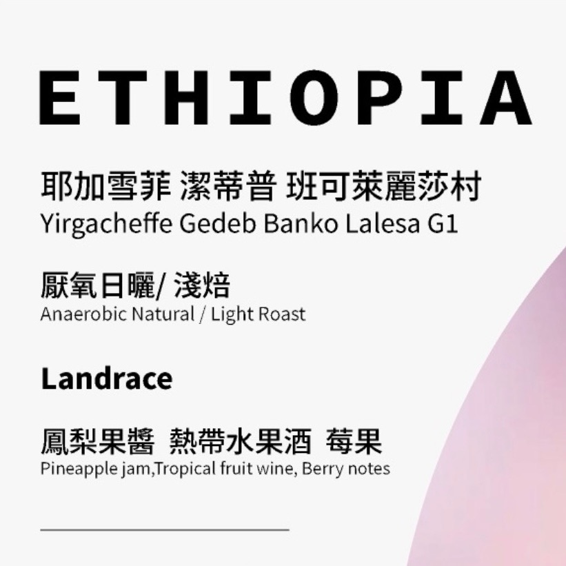 衣索比亞 耶加雪菲 潔蒂普 班可萊麗莎村 G1