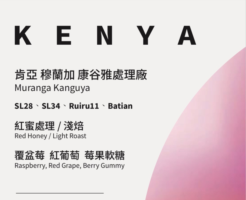 肯亞 穆蘭加 康谷雅處理廠 紅蜜