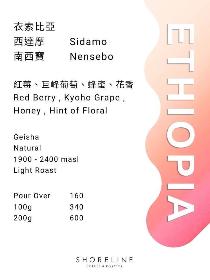 衣索比亞 西達摩 南西寶處理廠 G1 藝伎 日曬