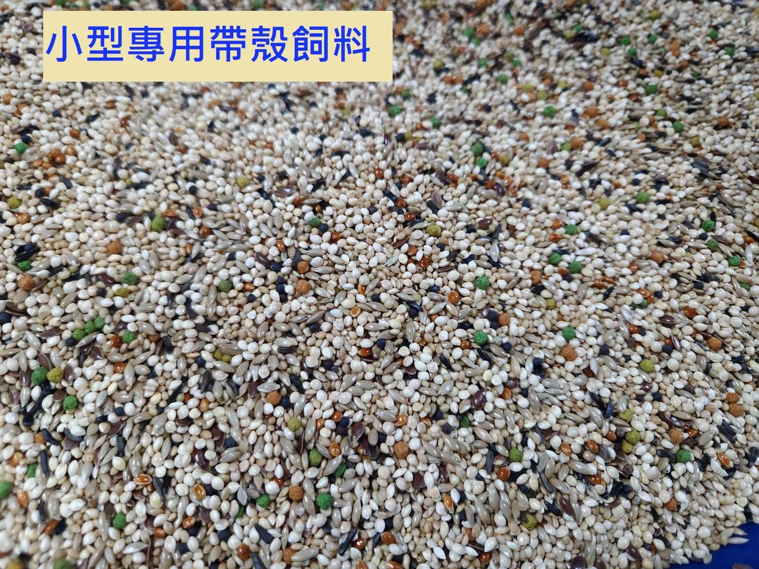 鵡動飼界~小型專用帶殼飼料40元/斤~虎皮、大頭、太平洋、小鸚哥等小型鳥類~5斤直接下單