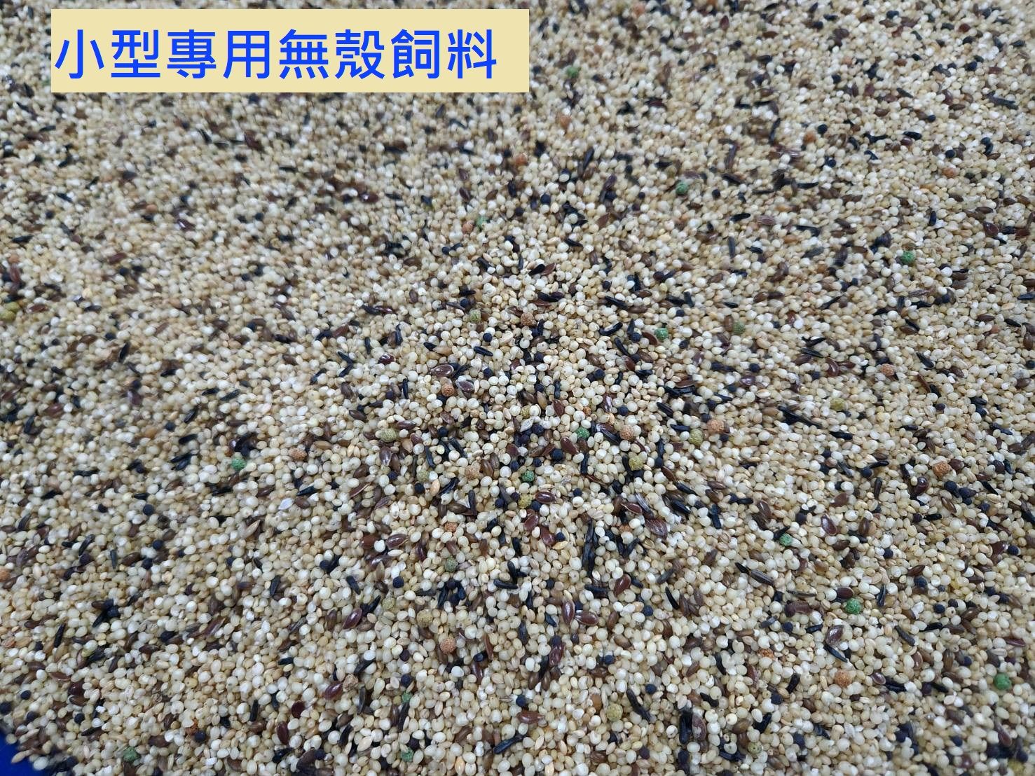 鵡動飼界~小型專用無殼飼料45元/斤（零售下標處）~虎皮、大頭、太平洋、橫斑、小鸚哥、雀鳥等小型鳥類