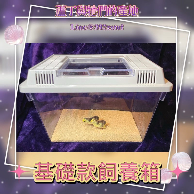 【蘆丁與牠們的產地】蘆丁雞 基礎款飼養箱 平價款 臨時飼養箱 外出飼養箱