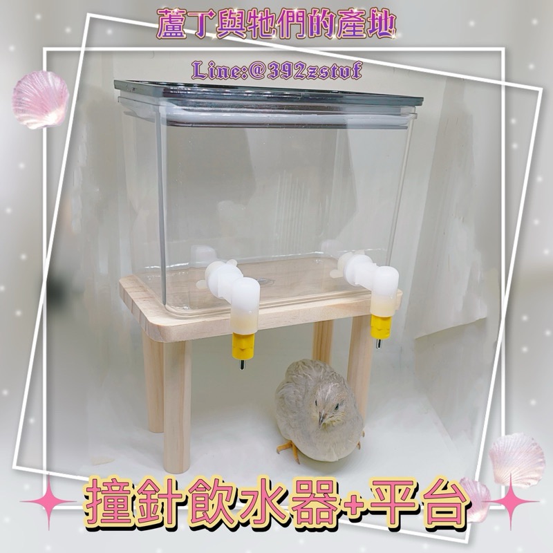 【蘆丁與牠們的產地】超好用 撞針式飲水器 容易出水！不漏水！不卡水！