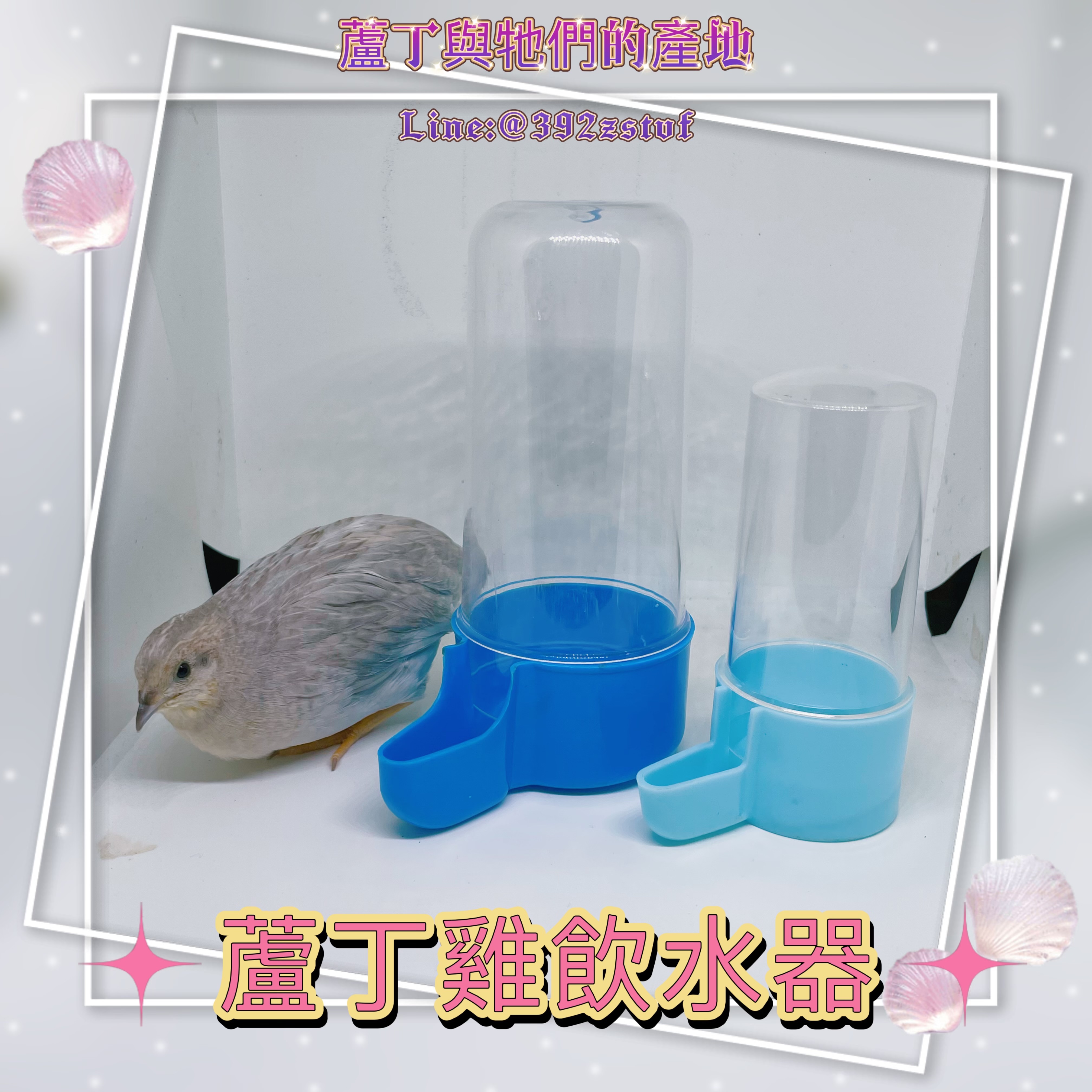 【蘆丁與牠們的產地】蘆丁雞飲水器 240ml 80ml 成雞 幼雞