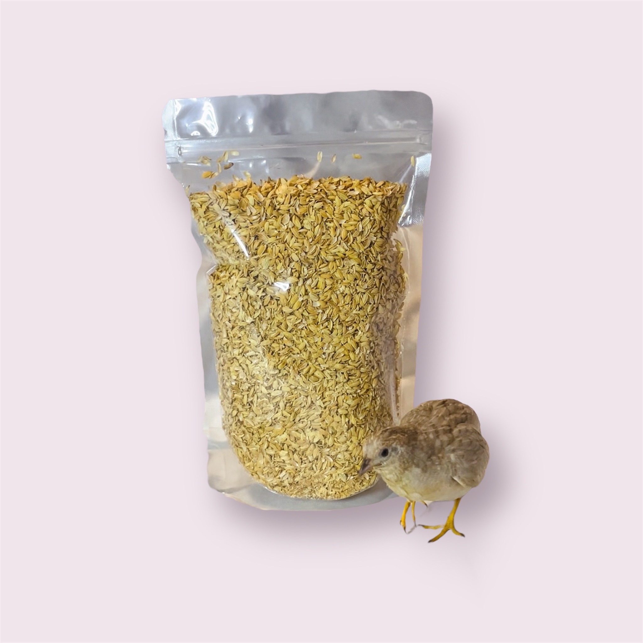 墊料試用包-稻穀（適合成雞）