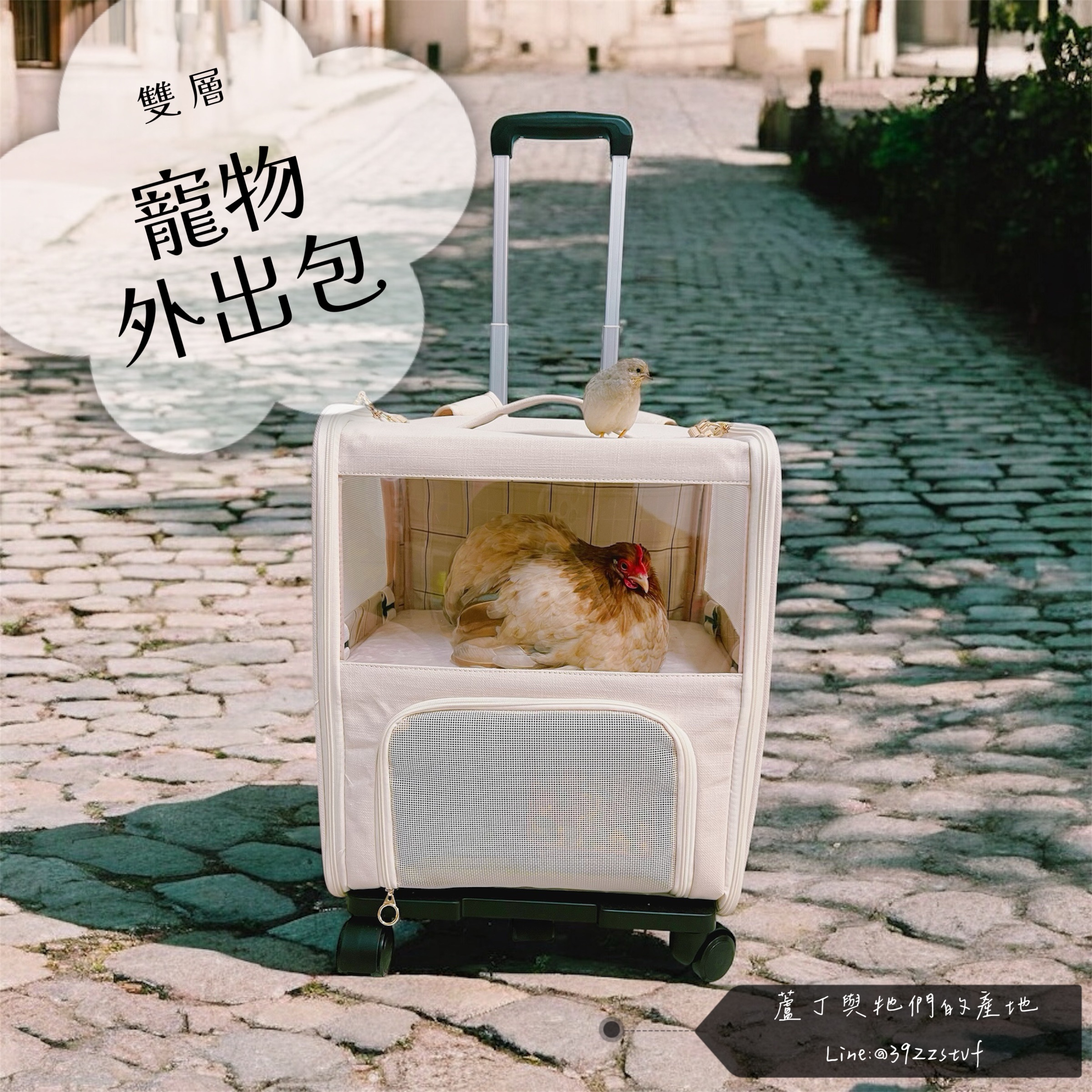 【蘆丁與牠們的產地】預購 雙層寵物外出包 人寵共用 多功能 可放人行李