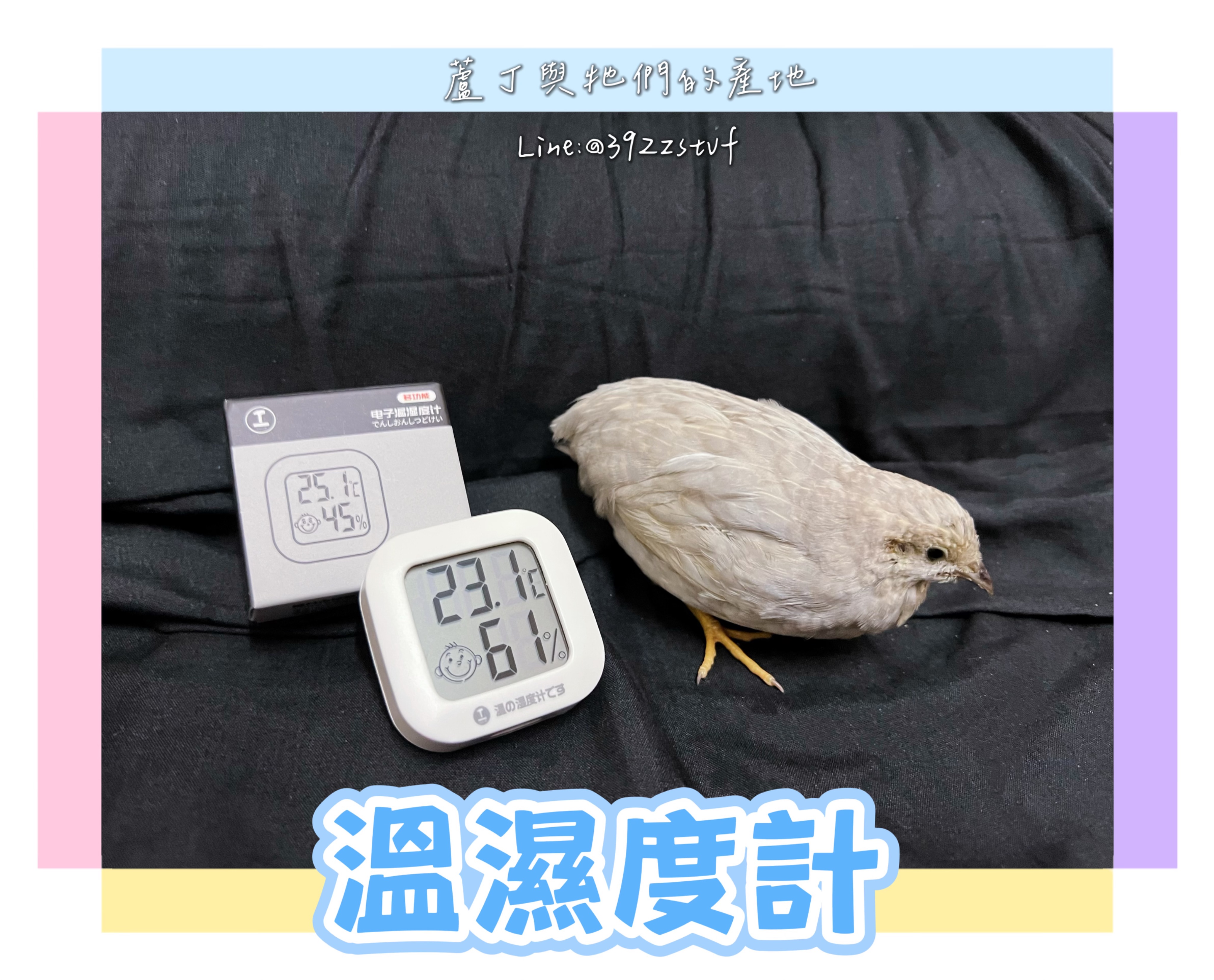 【蘆丁與牠們的產地】溫濕度計