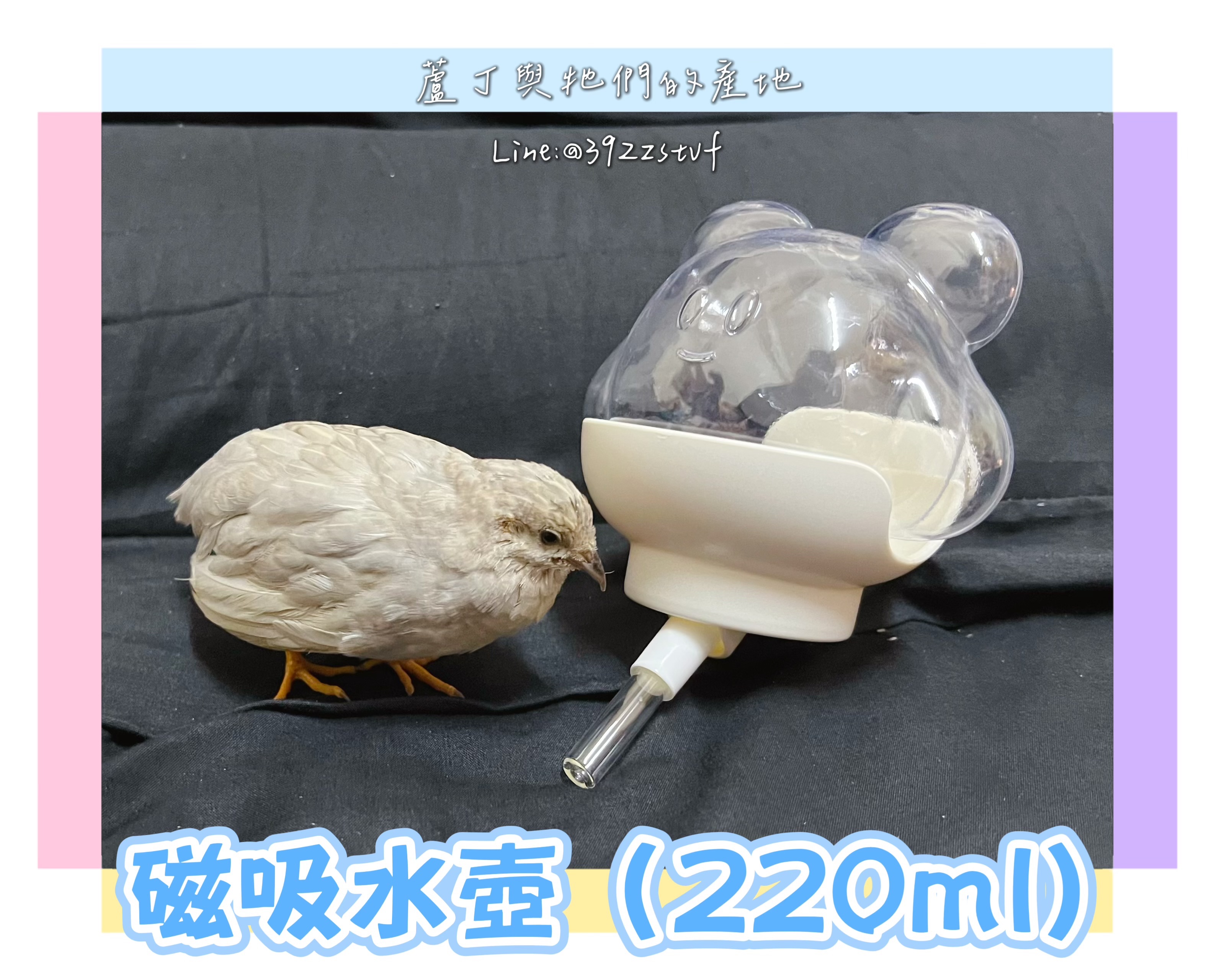 【蘆丁與牠們的產地】不怕打翻不怕髒的磁吸水壺 220ml （燙嘴或嘴巴太平太短的雞無法使用哦！）