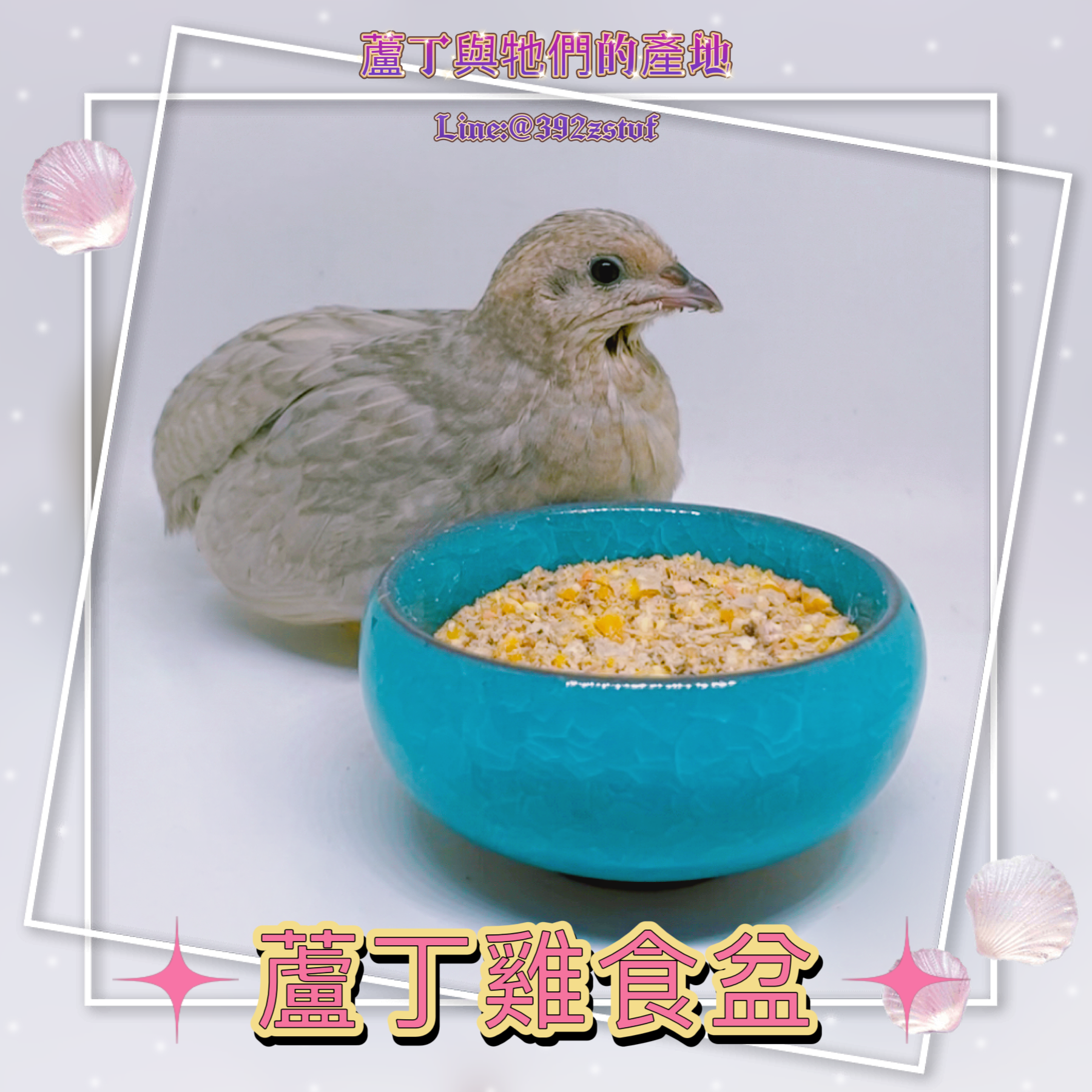 鯉魚造型食盆（適合幼雞或單養一隻成雞）