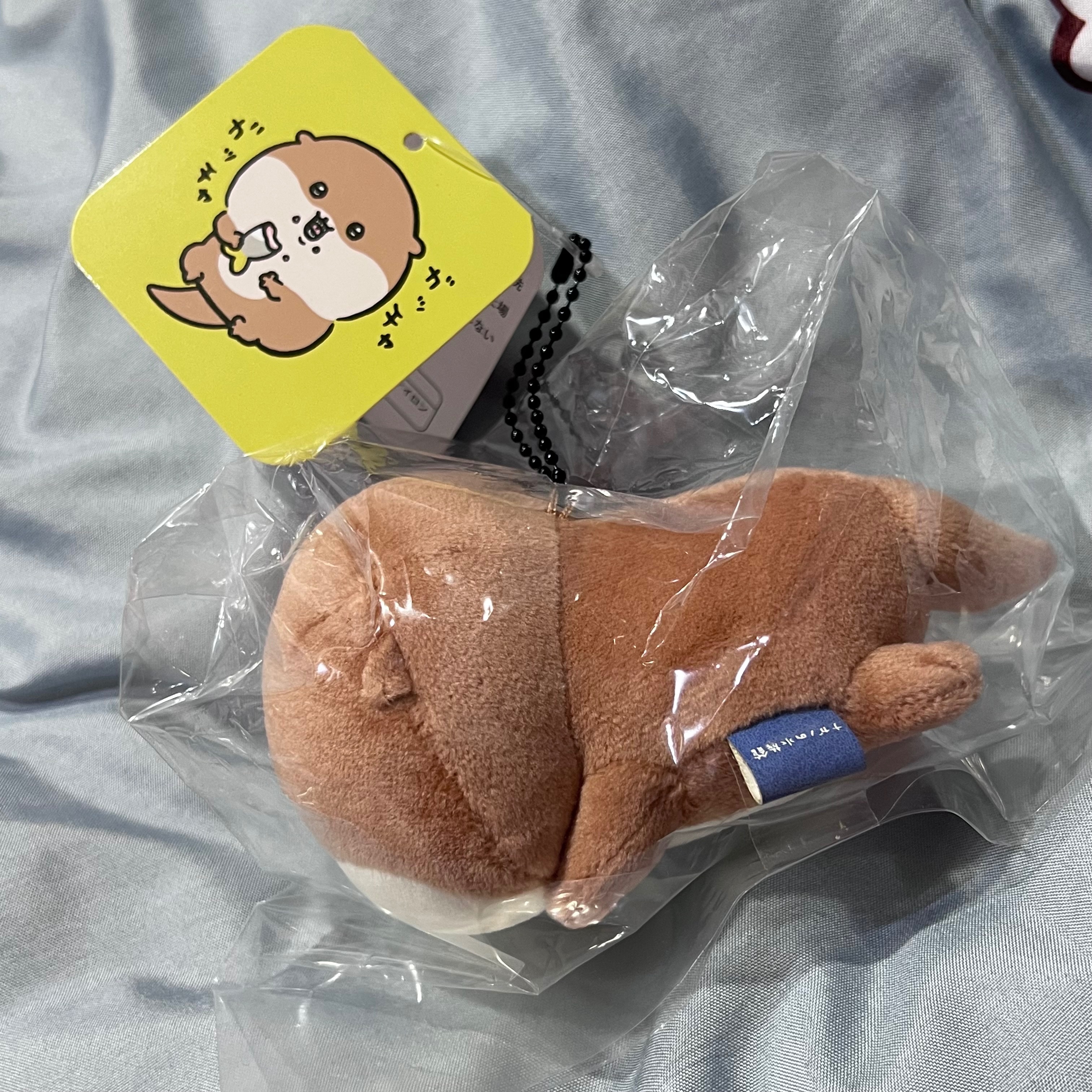 熊水族館可樂餅區