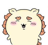 吉伊卡哇-獅薩相關