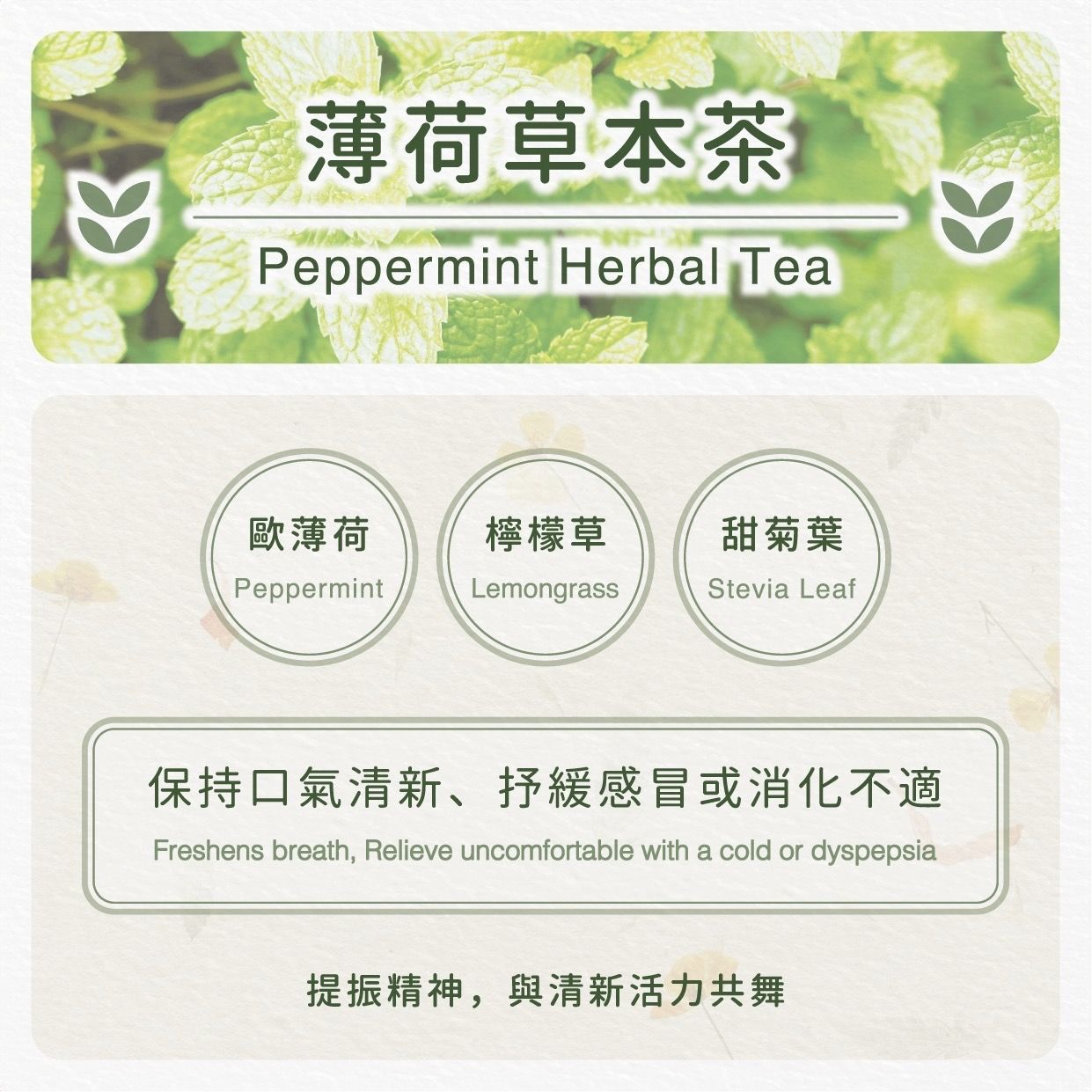 薄荷草本茶