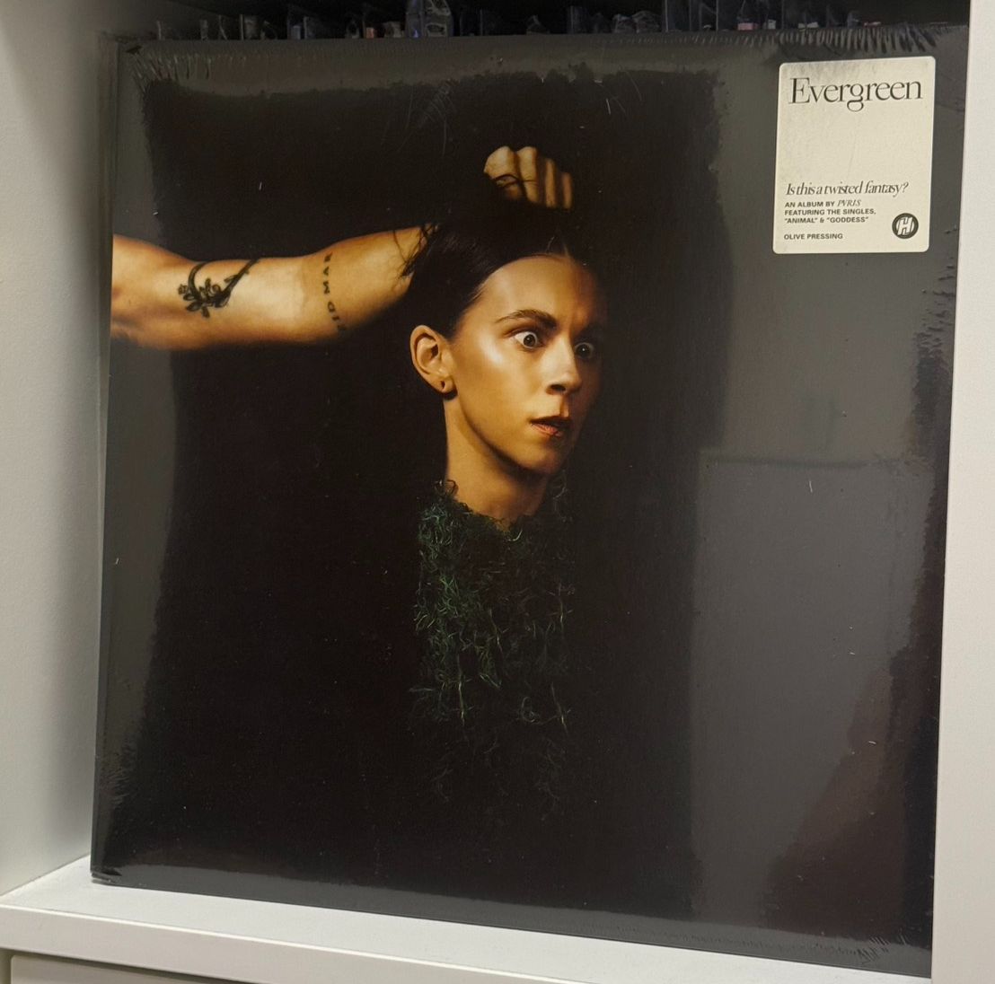 【瑕疵品出清】PVRIS - Evergreen