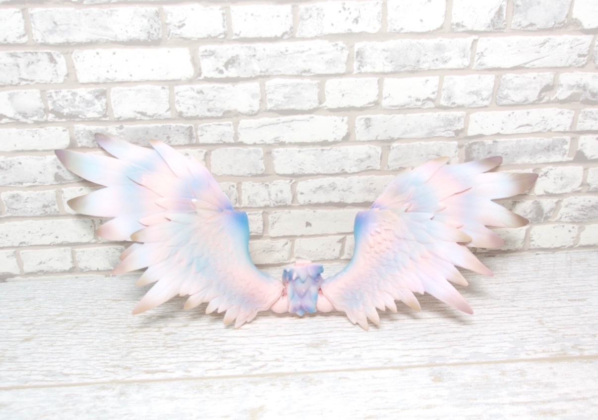 FairyLand Hippogriff Rus 粉肌鷹馬-第二張訂單