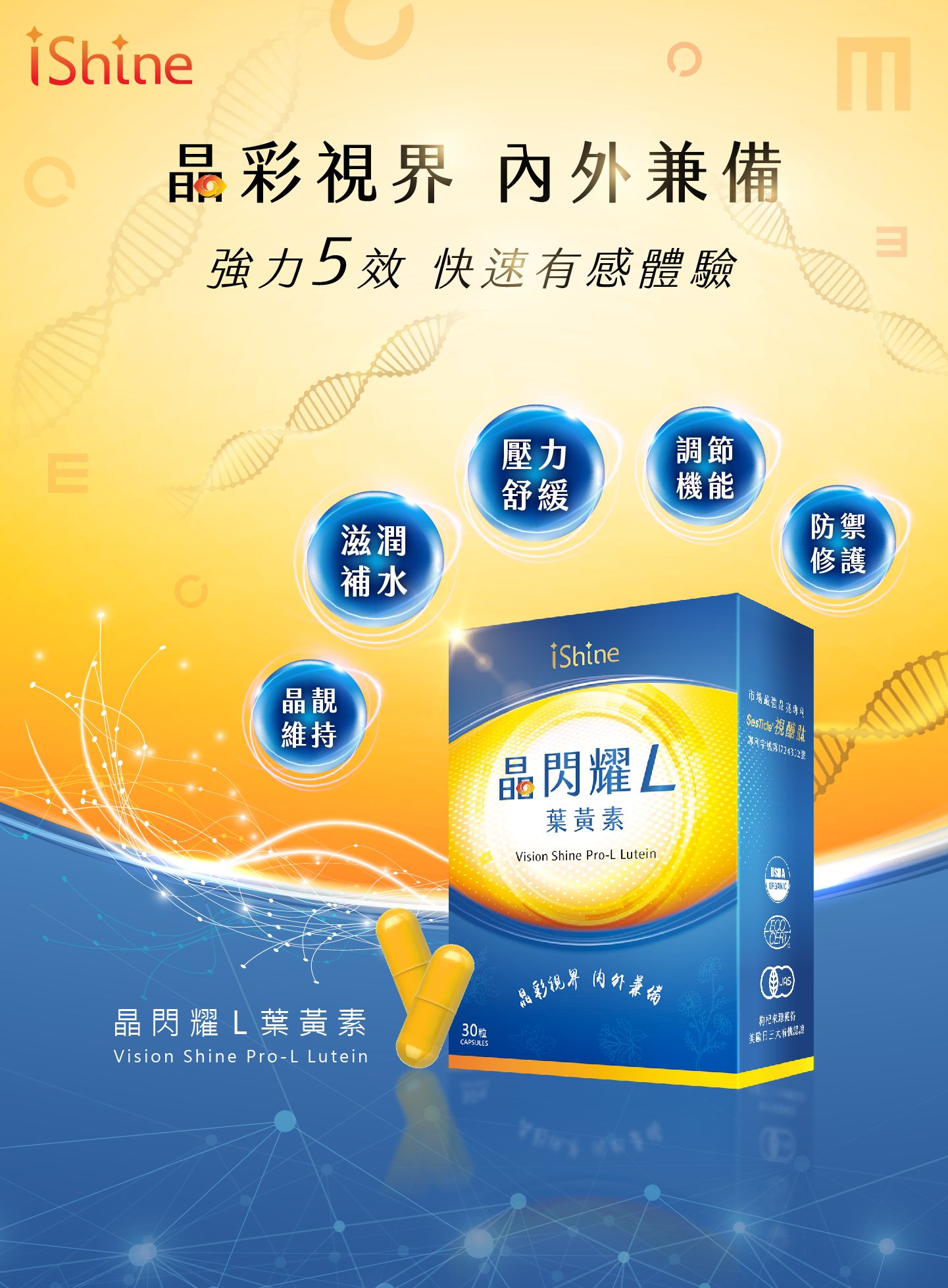 晶閃耀 Lutein 葉黃素 金盞花萃取物