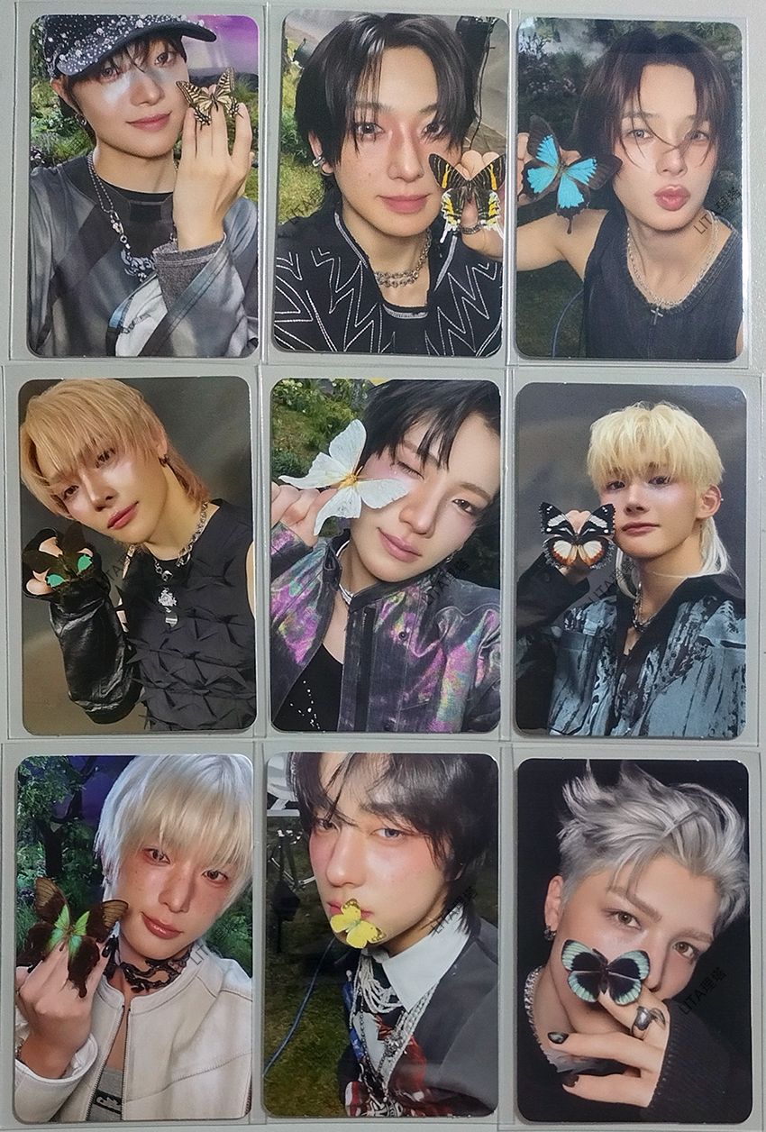 【＆TEAM官方】Back to Life 個人封面版專卡B 蝴蝶卡