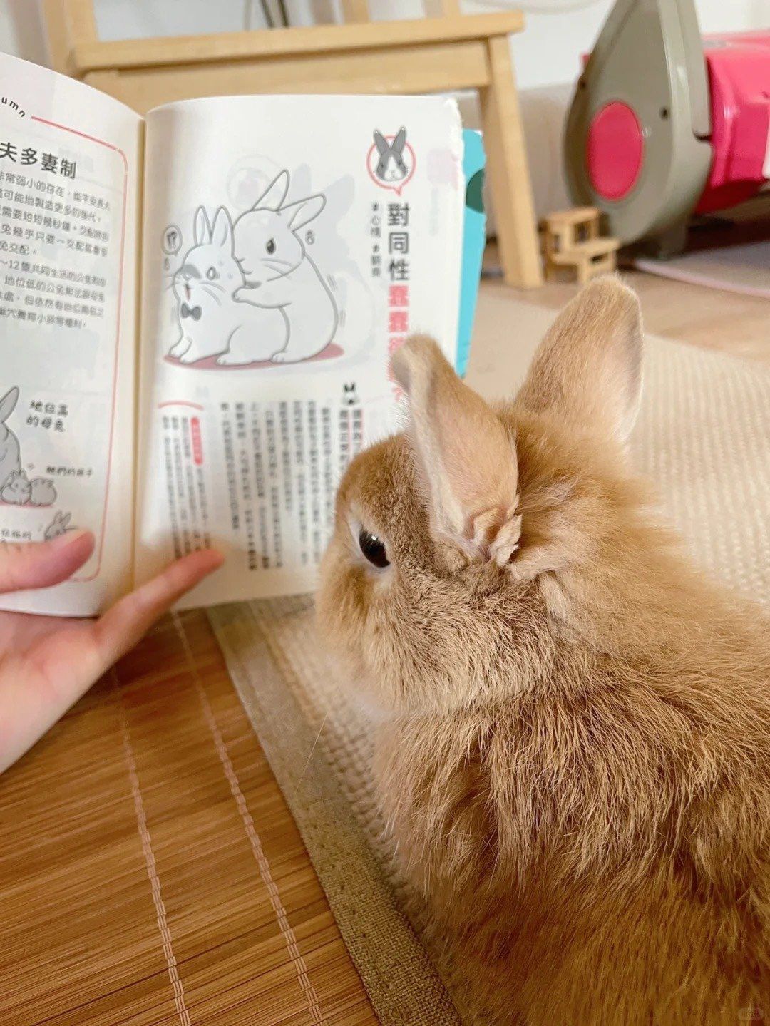 贈物區2