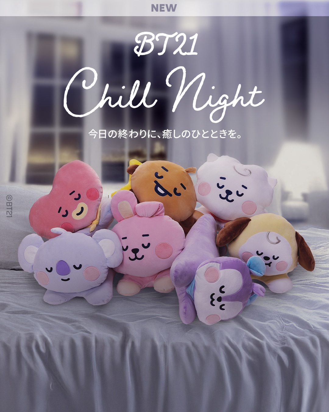 BT21 Chill Night